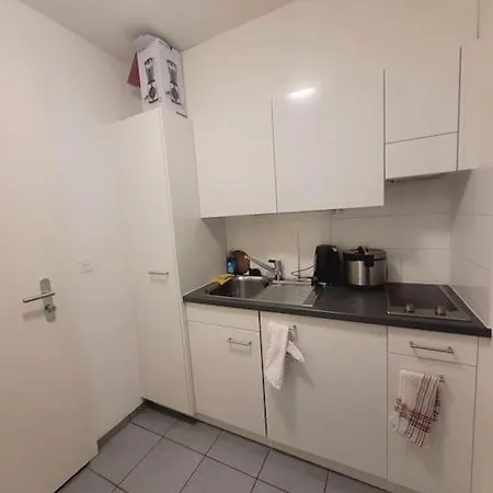 Apartamento En Lausanna لوزان