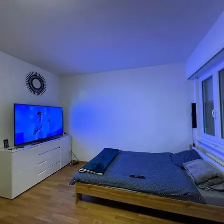 شقة Apartamento En Lausanna لوزان